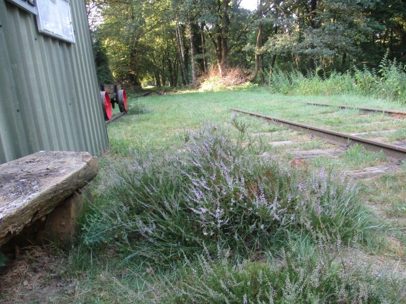Bahnhof2